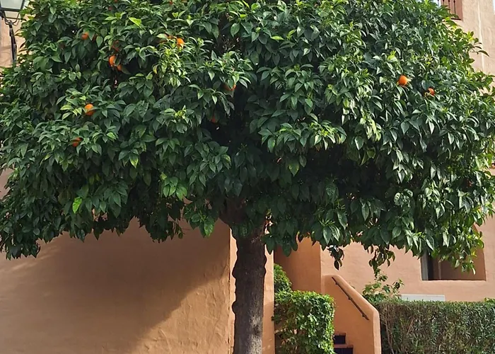 New !!! Duplex Penthouse 2 Avec Tennis, Padle, Golf * Эстепона